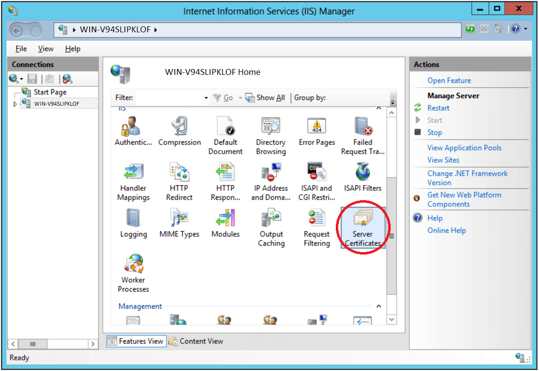 IIS